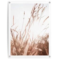 Tuinposter Zomer 80x60 Cm Beige
