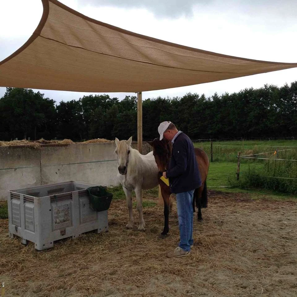 Sunfighters Rechthoek 3,5x5 Zand - Image 4