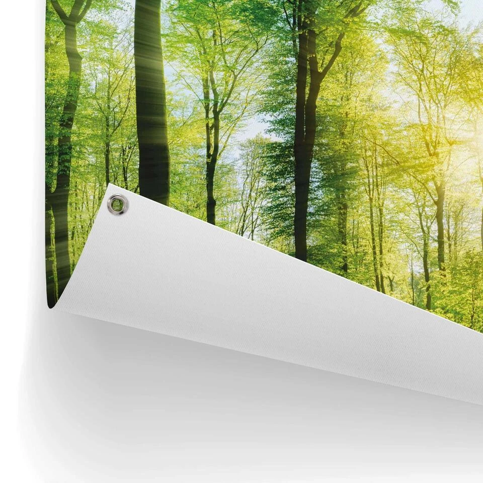 Tuinposter Zomer Bos 60x80 Cm Groen - Image 3