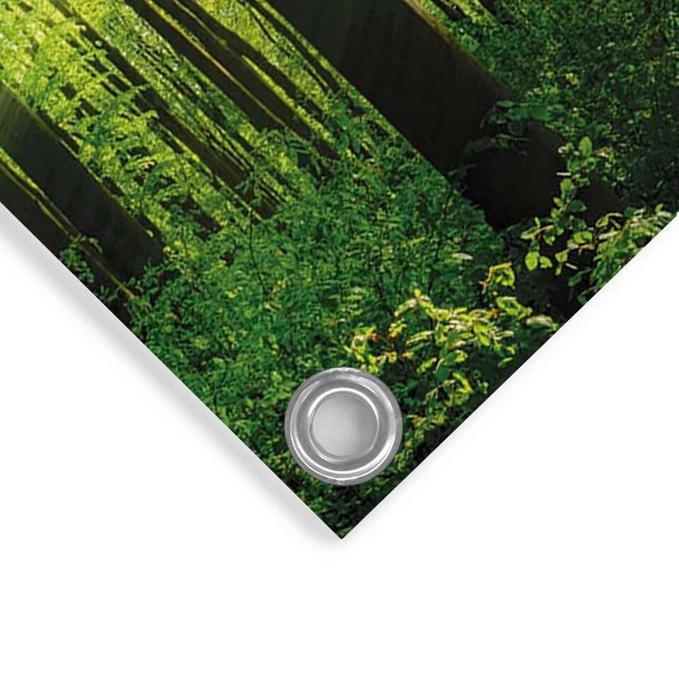 Tuinposter Zomer Bos 60x80 Cm Groen - Image 4