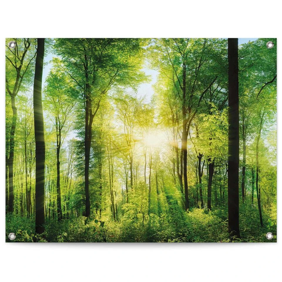 Tuinposter Zomer Bos 60x80 Cm Groen