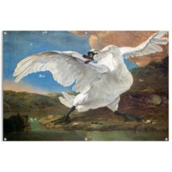 Tuinposter Asselijn De Bedreigde Zwaan 80x120 Cm Bont