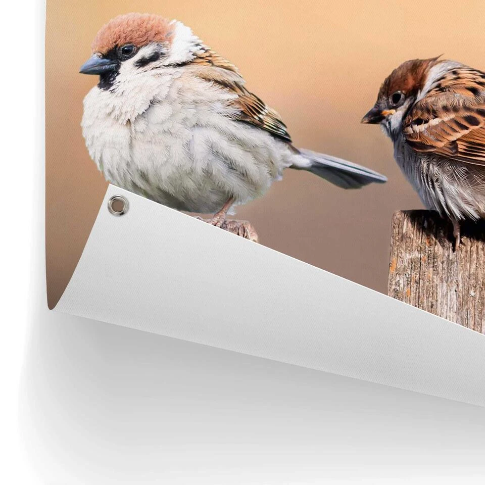 Tuinposter Vogels 60x80 Cm Beige - Image 3
