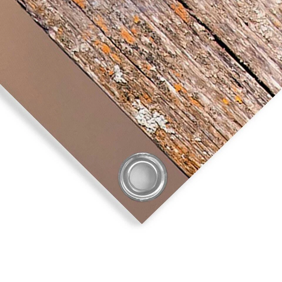 Tuinposter Vogels 60x80 Cm Beige - Image 4