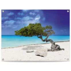 Tuinposter Tropisch Eiland 60x80 Cm Blauw