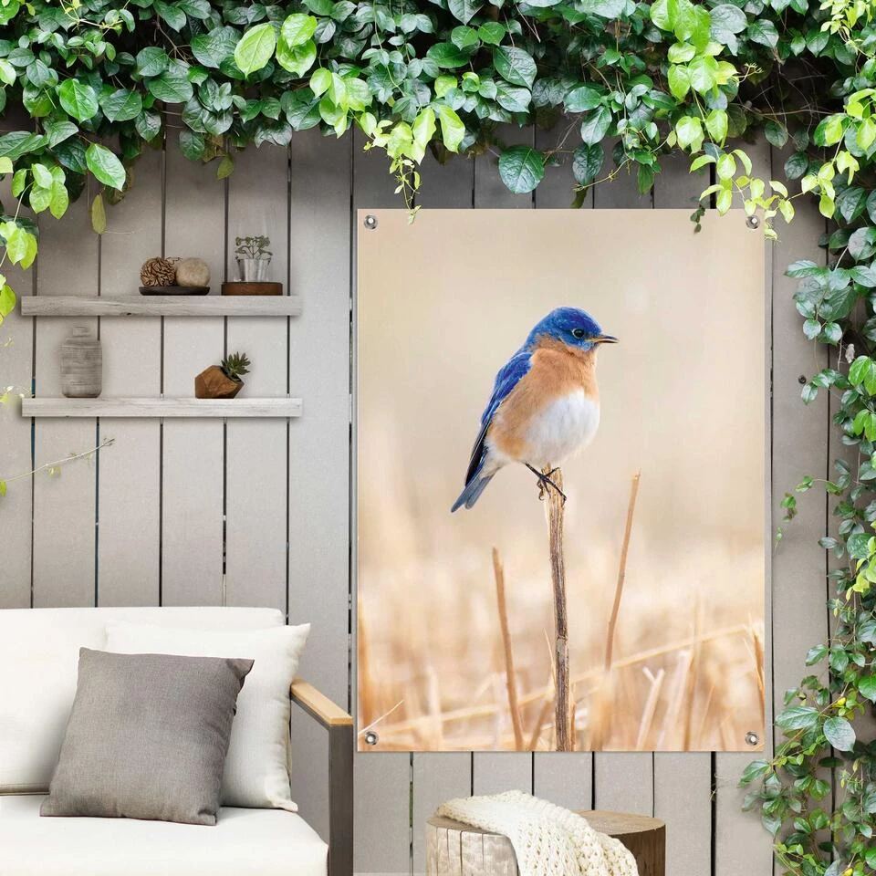 Tuinposter Blauw Vogeltje 80x60 Cm Blauw - Image 2