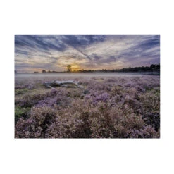 Art For The Home - Buitencanvas - Lavendelveld - 50x70cm