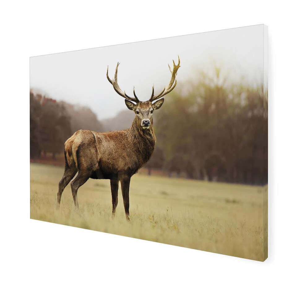 Art For The Home - Buitencanvas - Hert - 50x70cm - Image 3