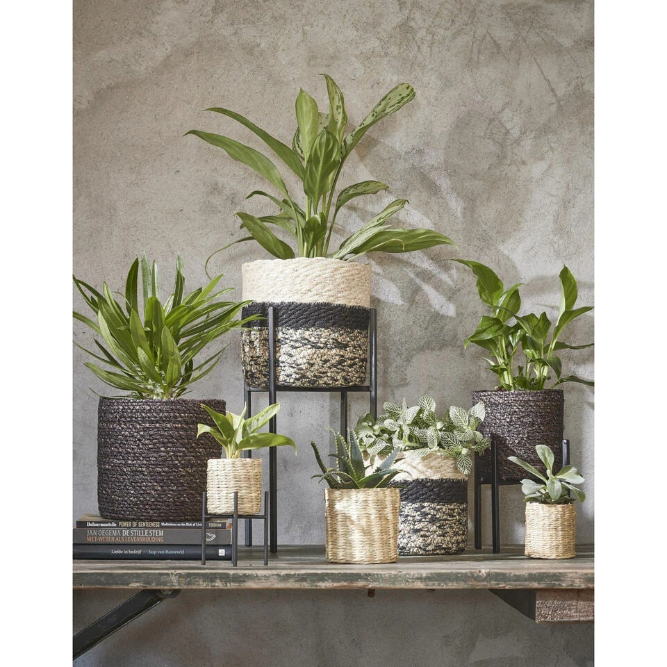 Mica Decorations Bloempot - Rotan - Zwart - Jute - 18 X 18 Cm - Image 2
