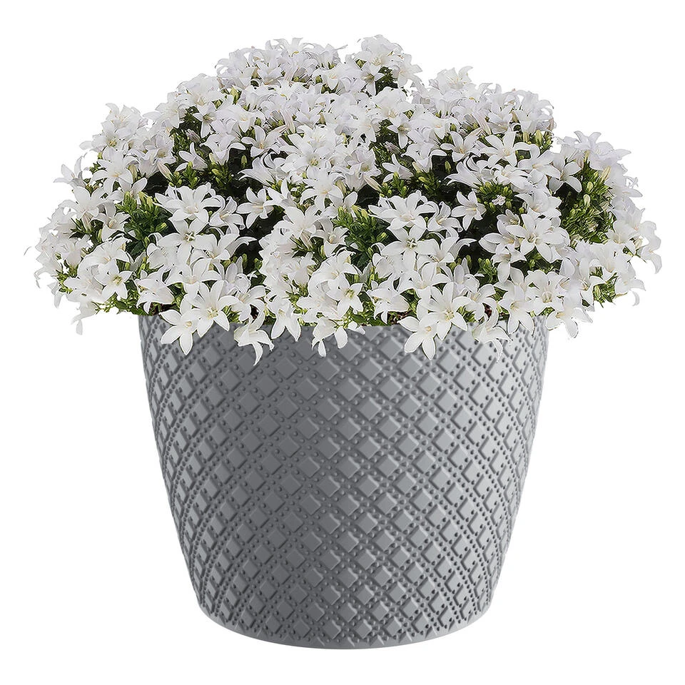 Prosperplast Plantenpot/bloempot - Kunststof - Steengrijs - D26 X H23 Cm - Image 2