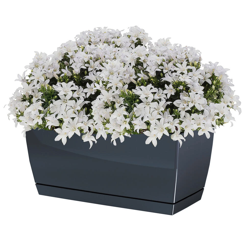 Prosperplast Plantenpot - Kunststof - Antraciet - 29 X 14 X 13,6 Cm - Image 2