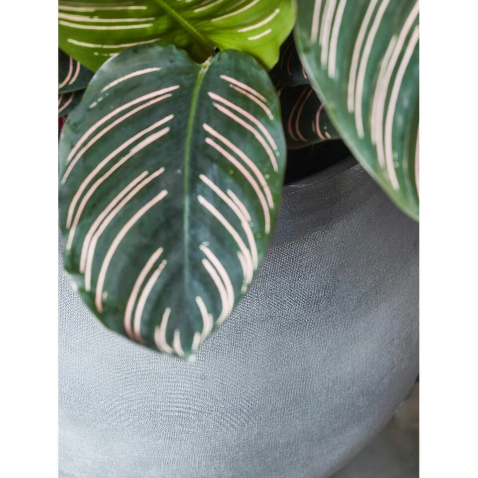 Mica Decorations Bloempot - Grijs - Keramiek - 26 X 23 Cm - Image 2