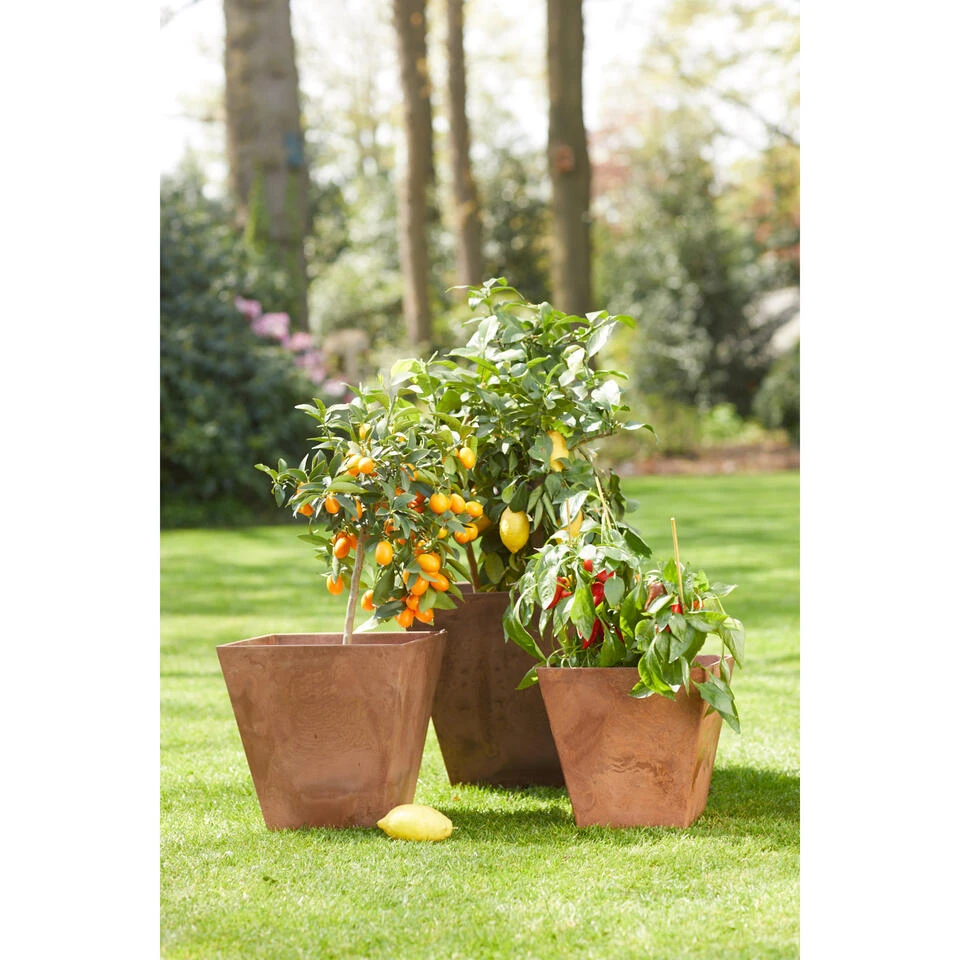 Steege Plantenbak - Vierkant - Gerecycled Kunststof - Bruin - 35 Cm - Image 2